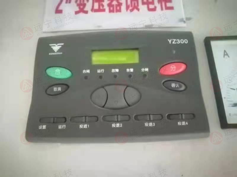 YZ300.jpg