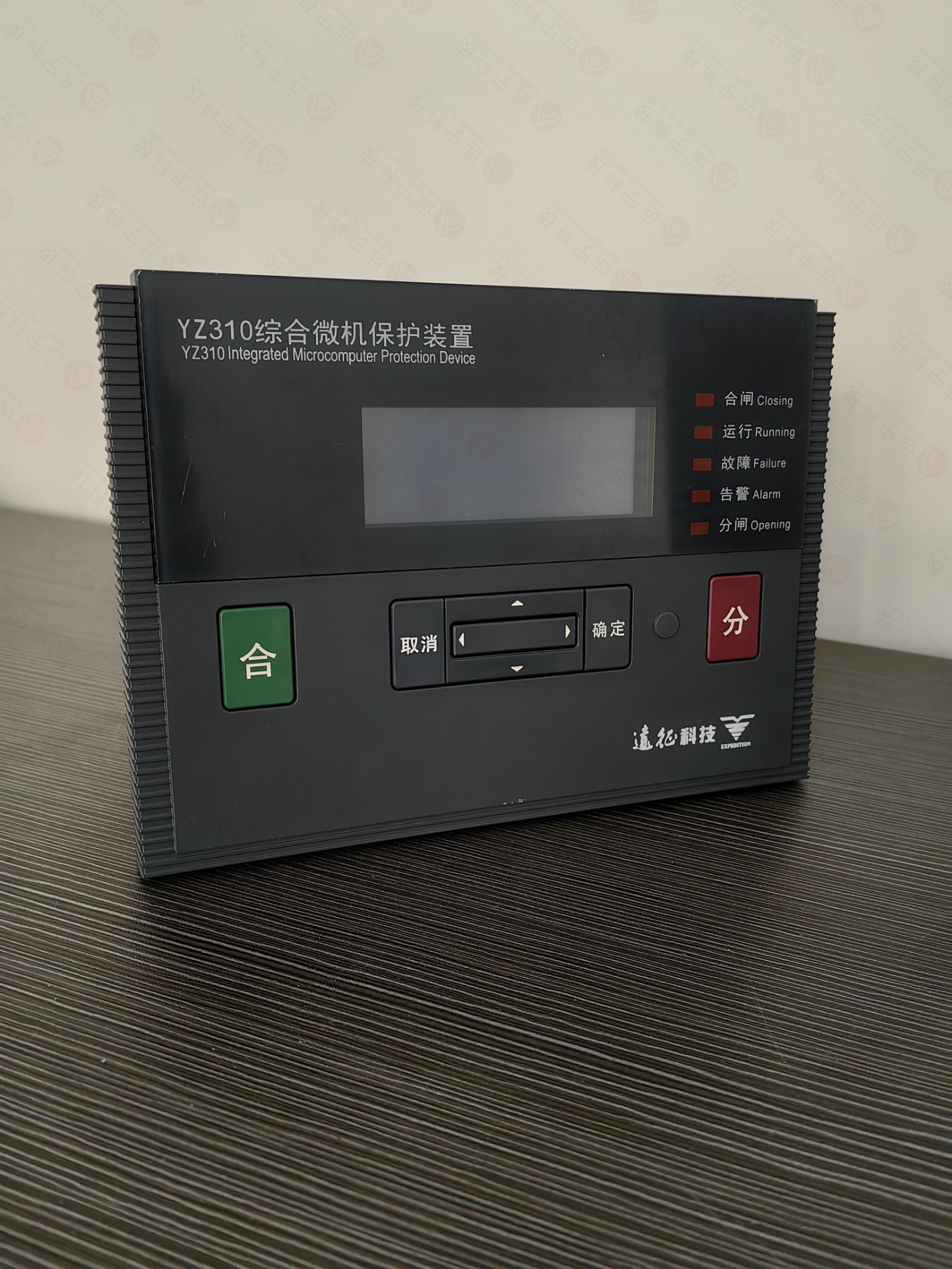 YZ310.jpg
